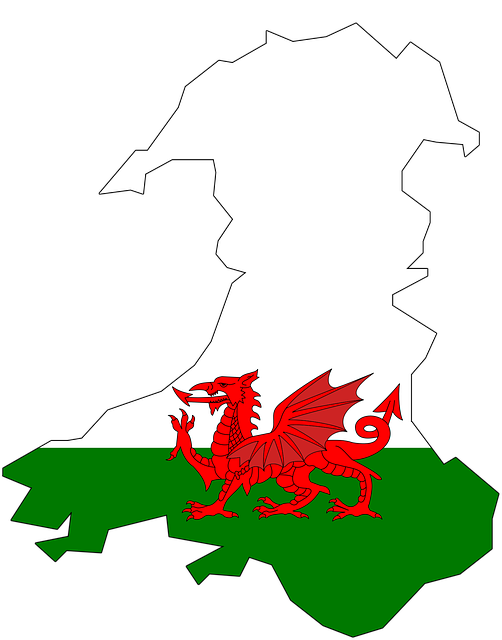 Nazionale di calcio del Galles: storia, trofei e curiosità